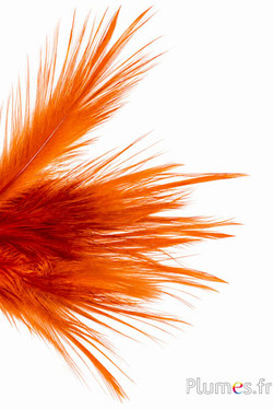 Kraanvogel - 12-14 cm - oranje